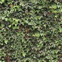 backyard office shed builder in BC